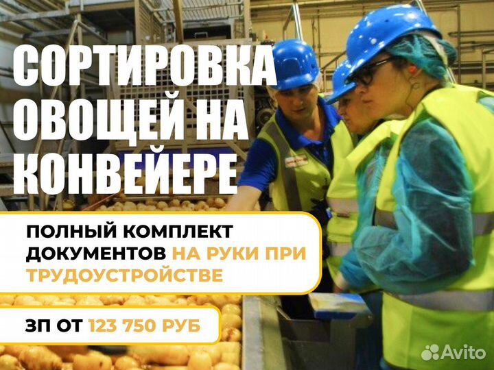 Работа для женщины. Без опыта