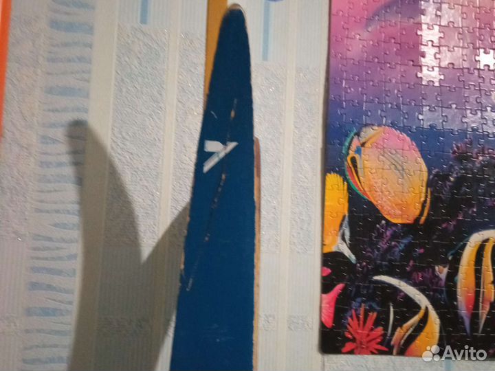 Беговые лыжи