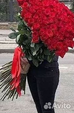 Розы Букеты Цветы Розы 31 101 151 201 Доставка