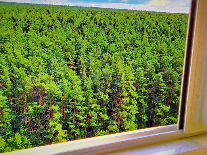 1-к. квартира, 42 м², 12/14 эт.