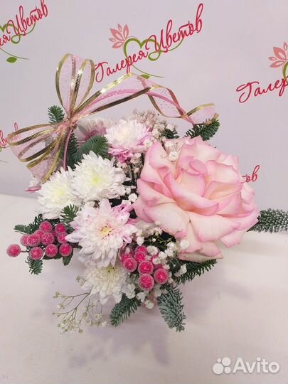 Новогодняя композиция из нобилиса