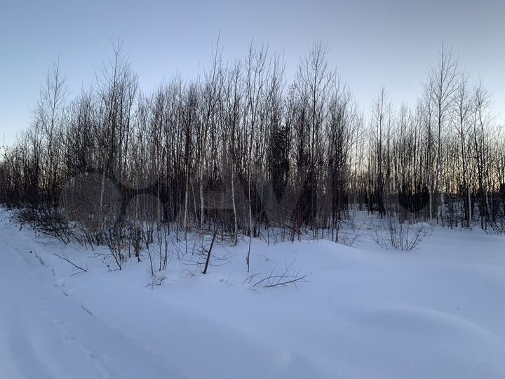 Участок 10 сот. (СНТ, ДНП)