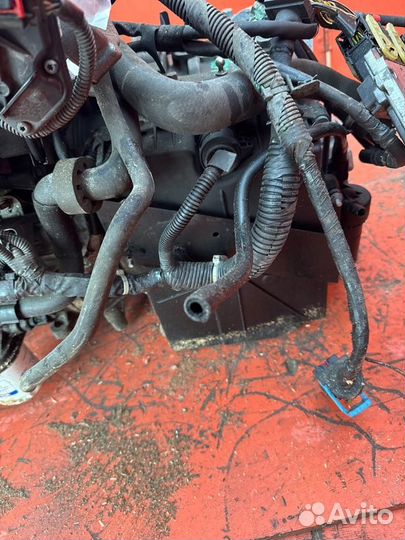 Автомат Volvo V50 MW43 B4204S3 2010