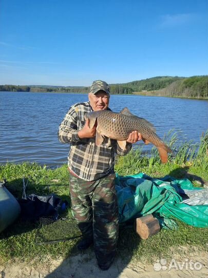 Платная рыбалка