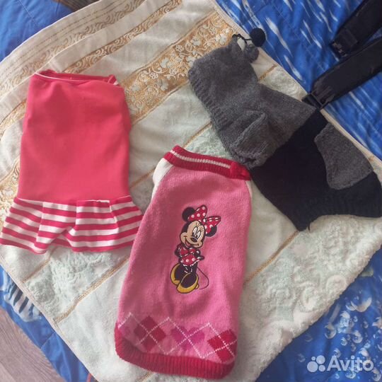 Вещи для собаки