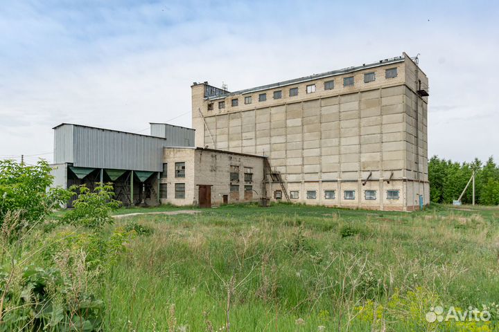 Продам Птицефабрику