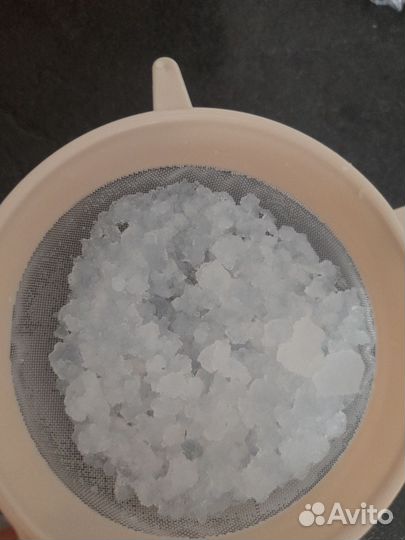 Индийский морской рис