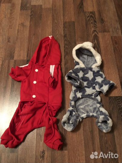 Одежда для кошки или собаки