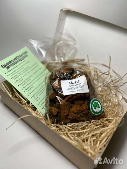 Березовый гриб чага Карелии