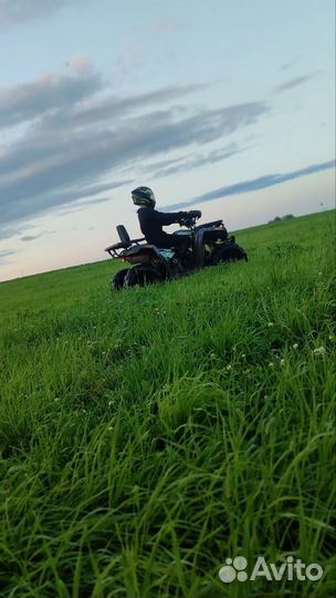 Motoland Wildtrack 200