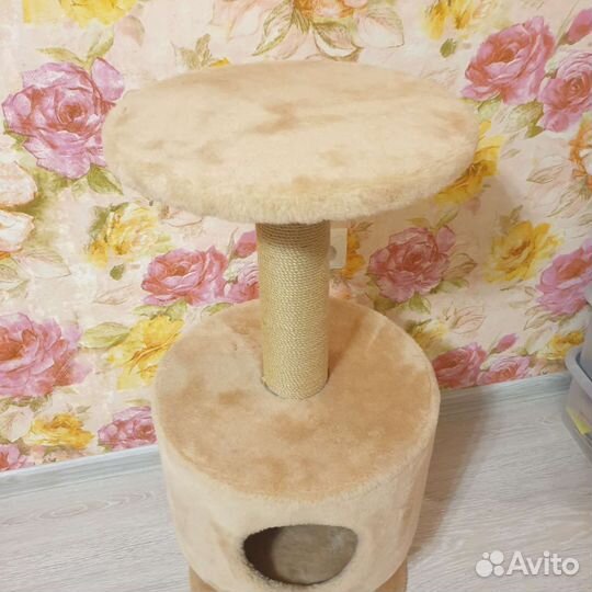 Новый домик для кота