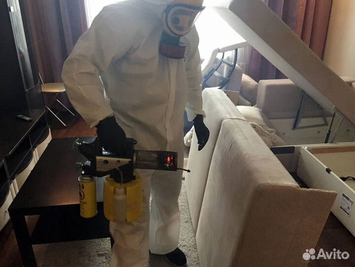 Уничтожение тараканов, клопов и других насекомых