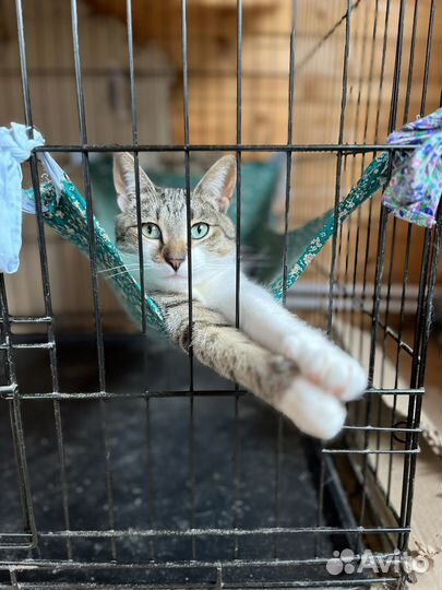 Почему меня никто не замечает