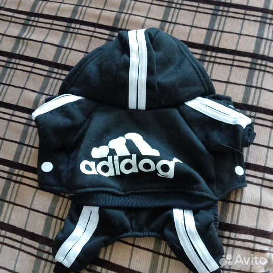 Одежда для той терьера