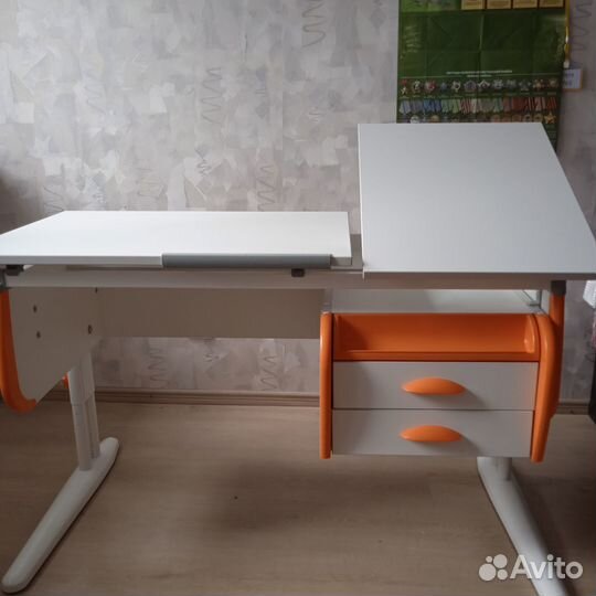 Растущая парта и стул дэми