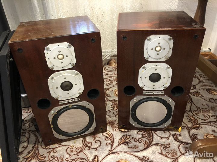 Колонки 35 ас-021 «Эстония»