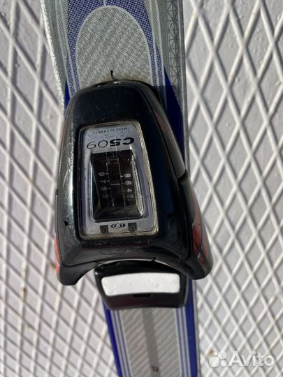 Горные лыжи