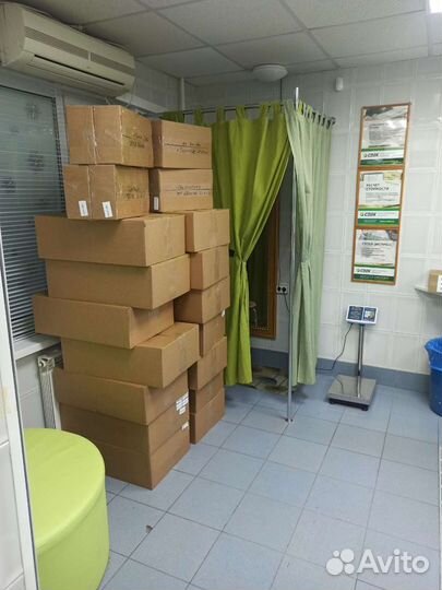 Стабилизированный мох опт розница