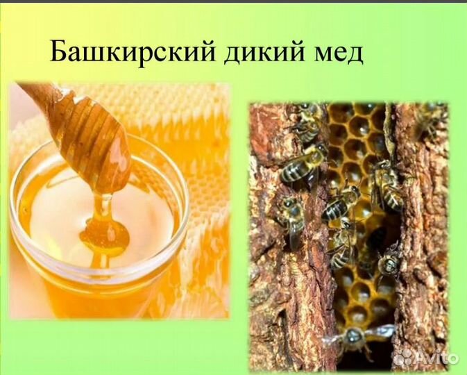Мед липовый башкирский настоящий 100 процентов