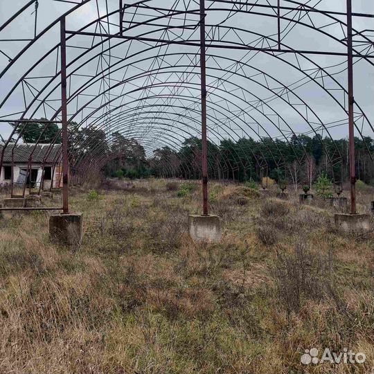 Арочный ангар б/у 85м Теплица