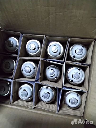 Лампочки Philips