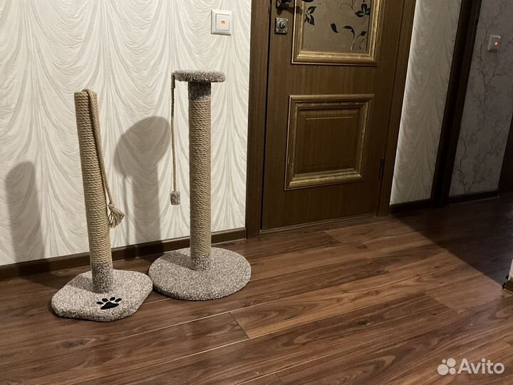 Когтеточка