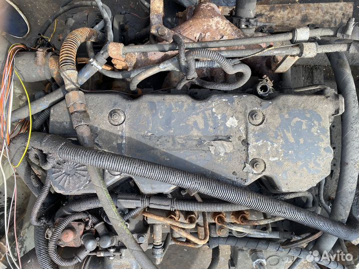 Двигатель cummins 4isbe