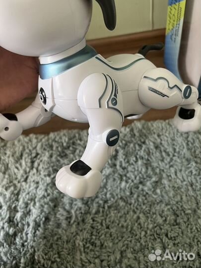 Робот собака
