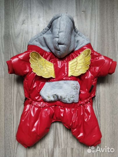 Одежда для собак мелких пород