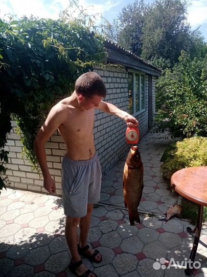 Организация рыбалки