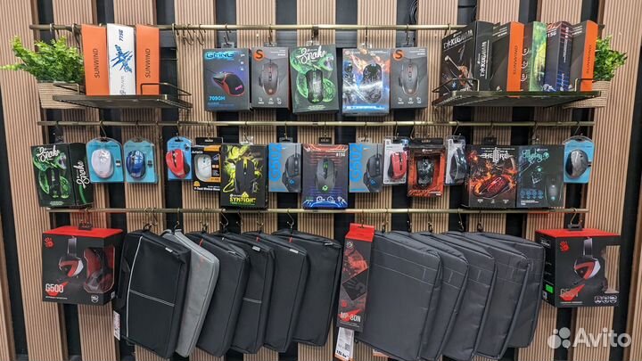 Идеальный Asus/15.6 FHD/Core i5/8Gb/256Gb SSD