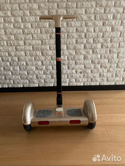 Гироскутер iralan TT 10 дюймов