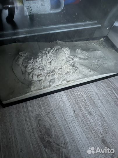 Аквариум на 100 литров с грунтом