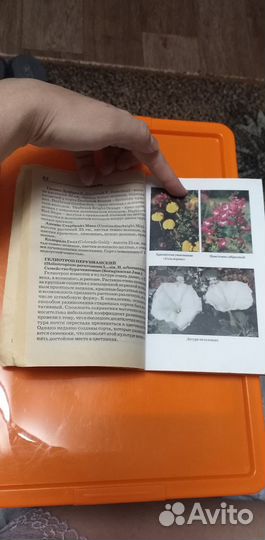 Растения цветы. Книга про растения