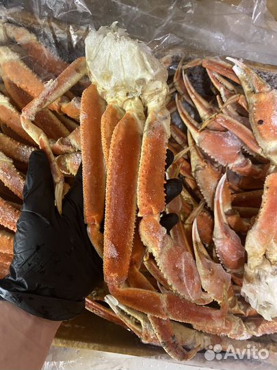 Клешни краба стригуна