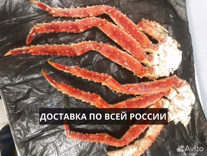 Клешни камчатского краба