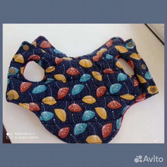 Одежда и ошейник для маленьких собак