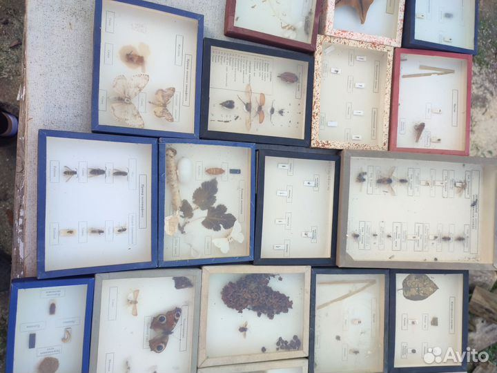 Наглядные пособия СССР