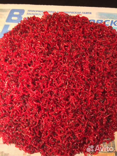 Мотыль, коретра