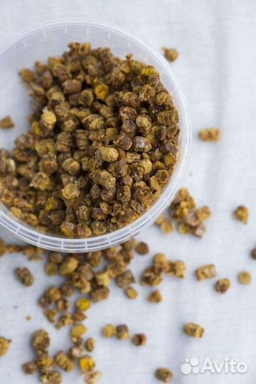 Перга пчелиная