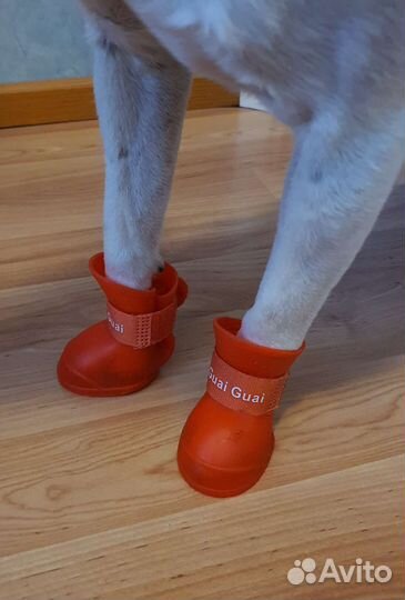 Ботинки для собак L размер