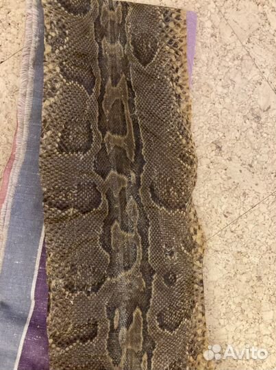 Шкура питона