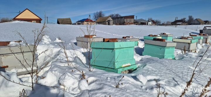 Улики ладан,из ппс,12 магазинные