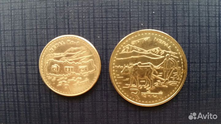 Монеты Непала и Киргизии