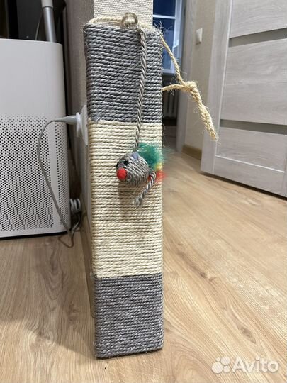 Когтеточка