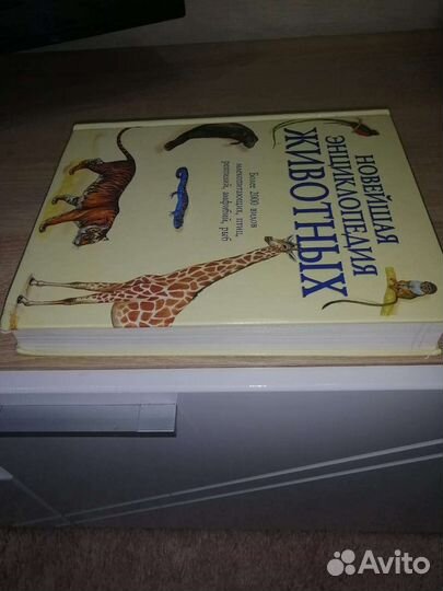 Энциклопедия