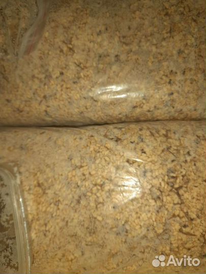 Муравьиное яйцо