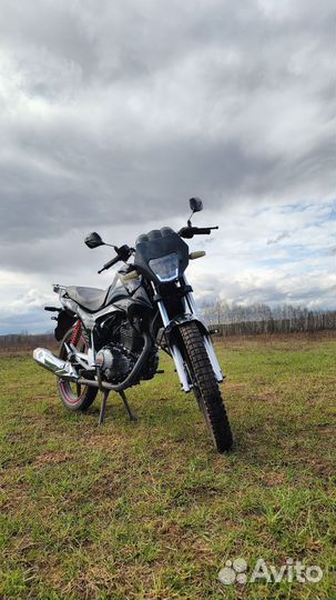 Irbis gs 200