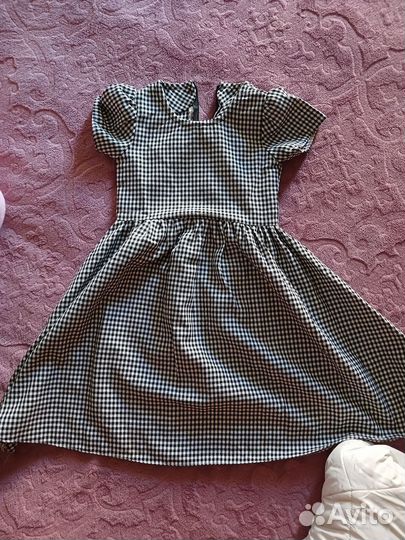 Отдам бесплатно