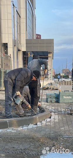 Демонтажные работы, проемы, снос дома, мусор